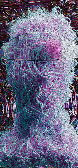 Vignette Wired